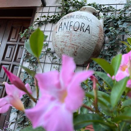 L' Anfora Locazione Turistica Daire Terni Dış mekan fotoğraf
